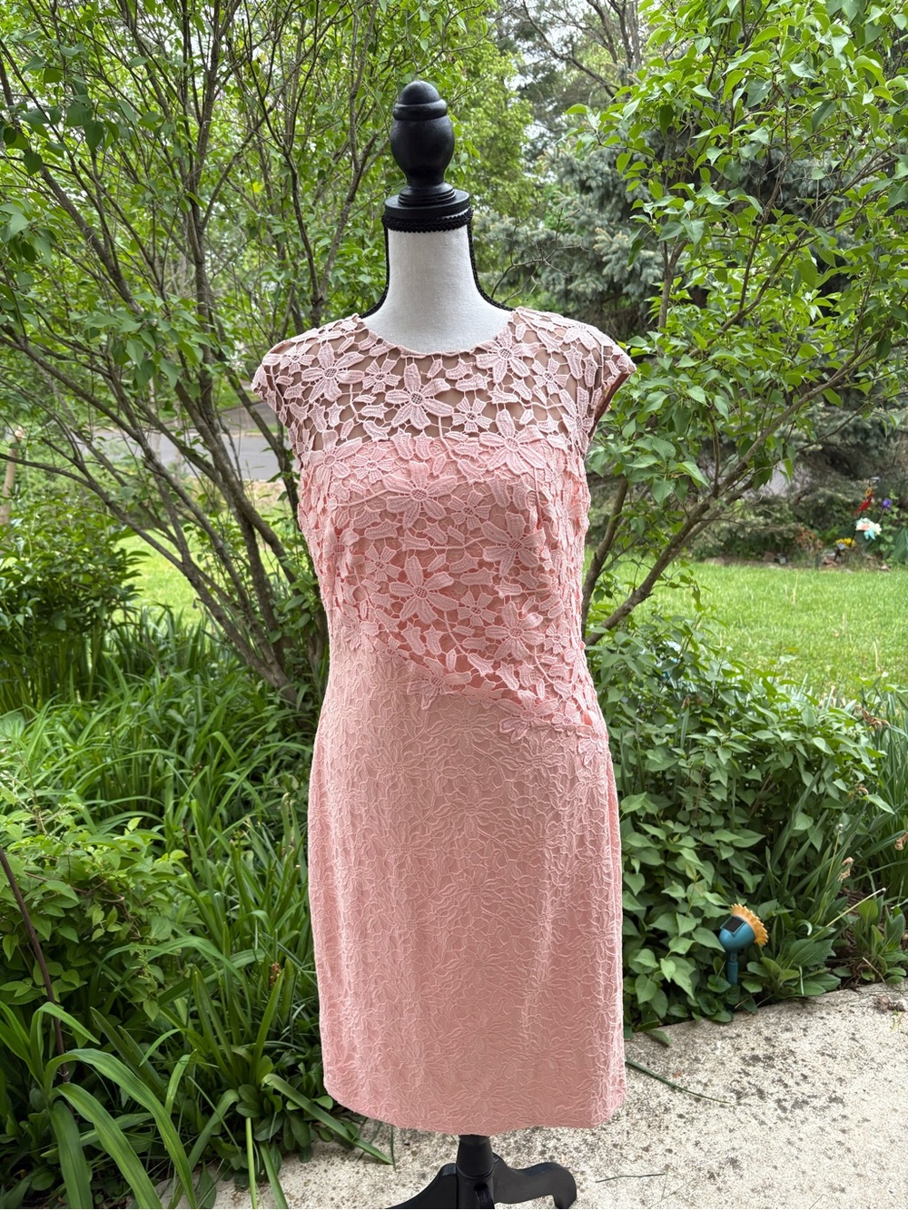 Size 8 Ralph Lauren Blush Pink Floral Lace Midi Dress